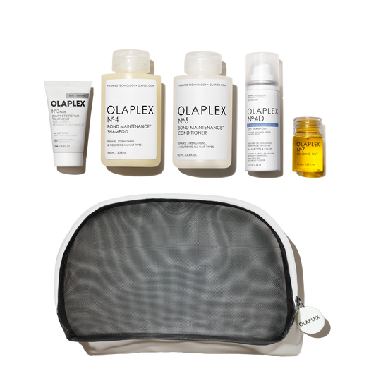 THE HEALTHY HAIR TRAVEL SET